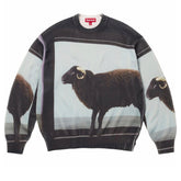 25SS Golden Horn Black Sheep Knitted Sweater