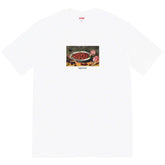 Strawberry Fruit Plate Print T-Shirt
