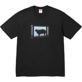 25SS Damien Hirst Tee