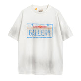 Dirty Distressed Casual T-shirt #G015-29