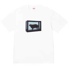 25SS Damien Hirst Tee