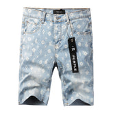 Denim Shorts #5089